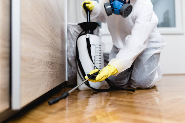 Professional Pest Control in Red Lick, TX