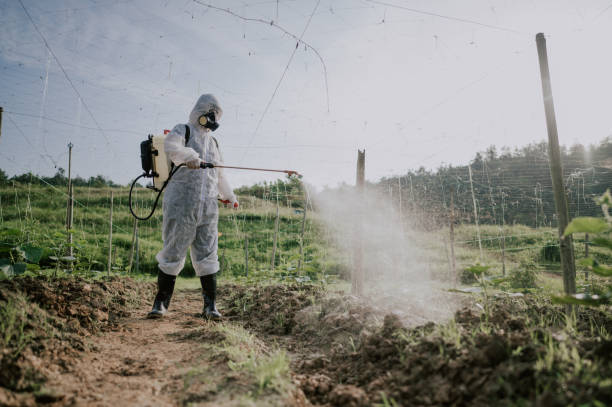 Best Mosquito Control Services  in Red Lick, TX