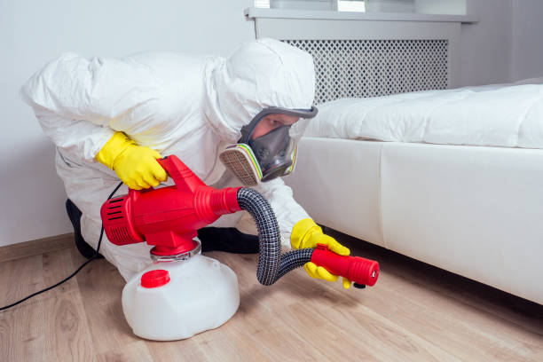 Best Pest Control for Businesses  in Red Lick, TX