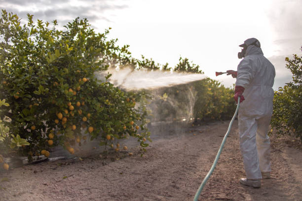 Wildlife Control Services in Red Lick, TX