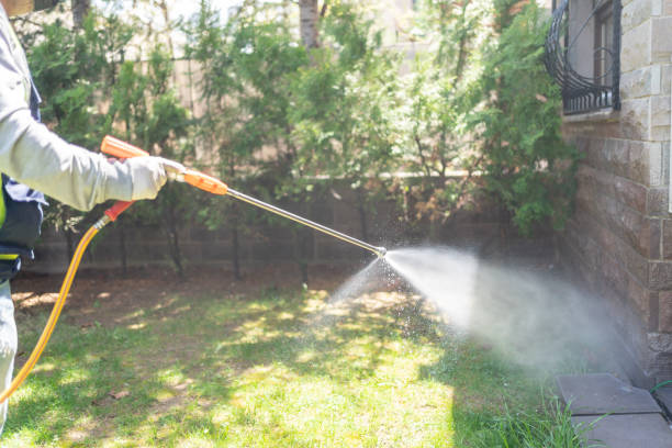 Best Wildlife Control Services  in Red Lick, TX