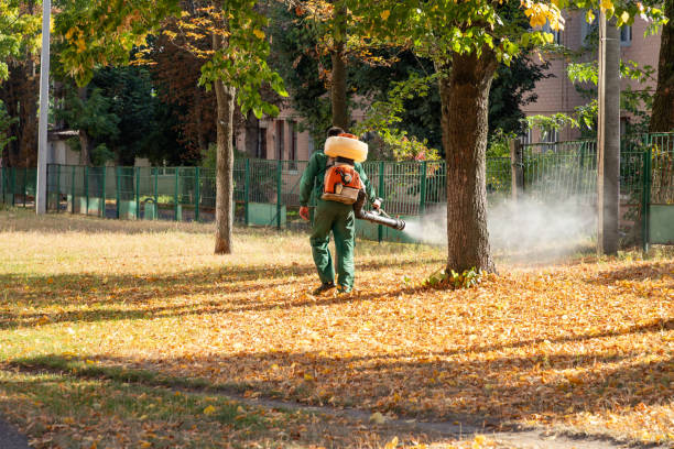 Best Pest Control Near Me  in Red Lick, TX