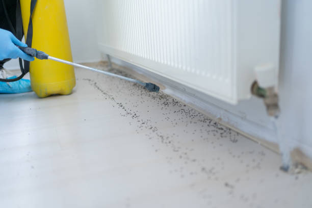 Best Pest Inspection Near Me  in Red Lick, TX