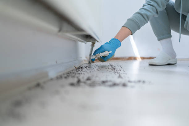 Best Pest Prevention Services  in Red Lick, TX