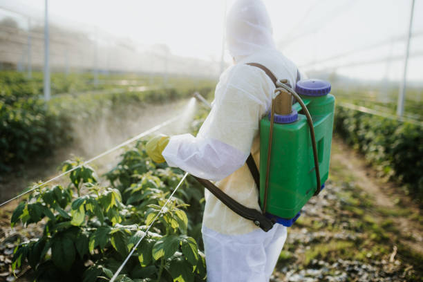 Best Affordable Pest Control Services  in Red Lick, TX